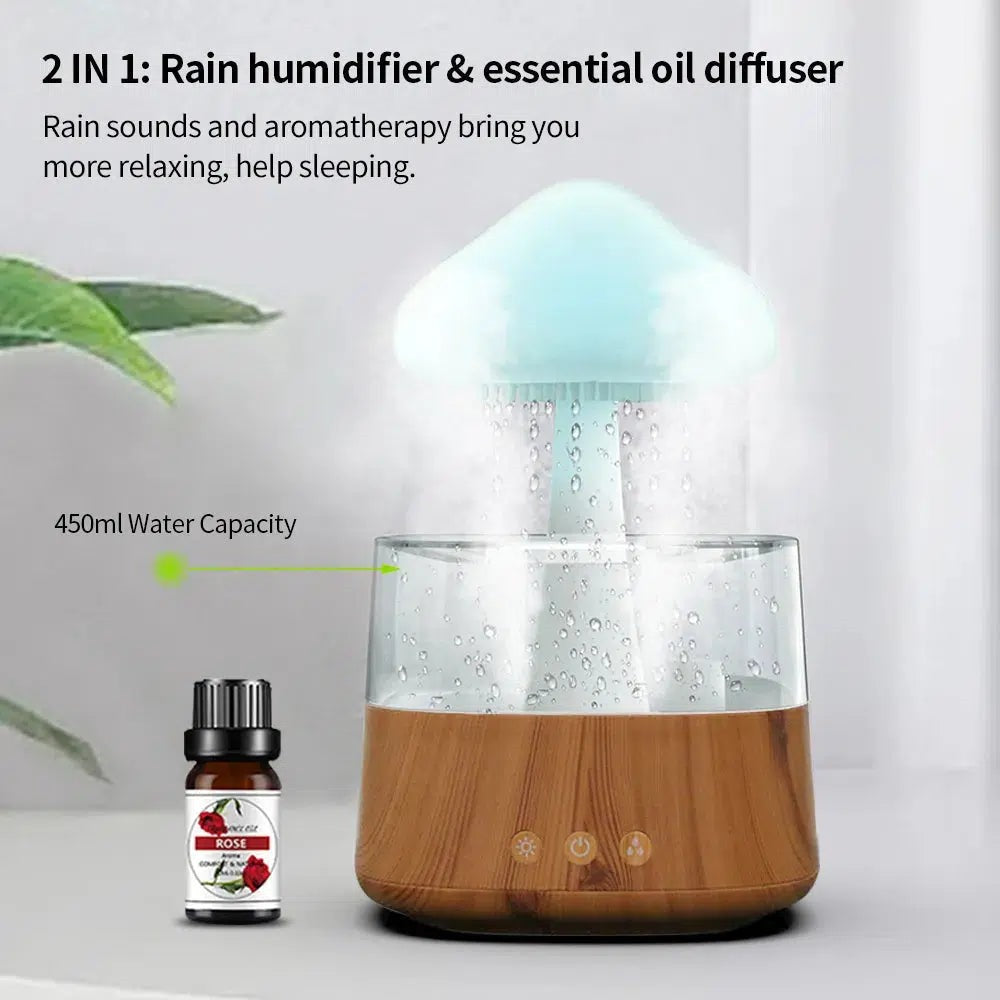 Rain Cloud Humidifier®