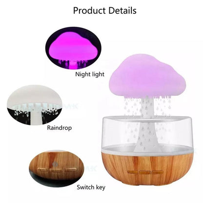 Rain Cloud Humidifier®